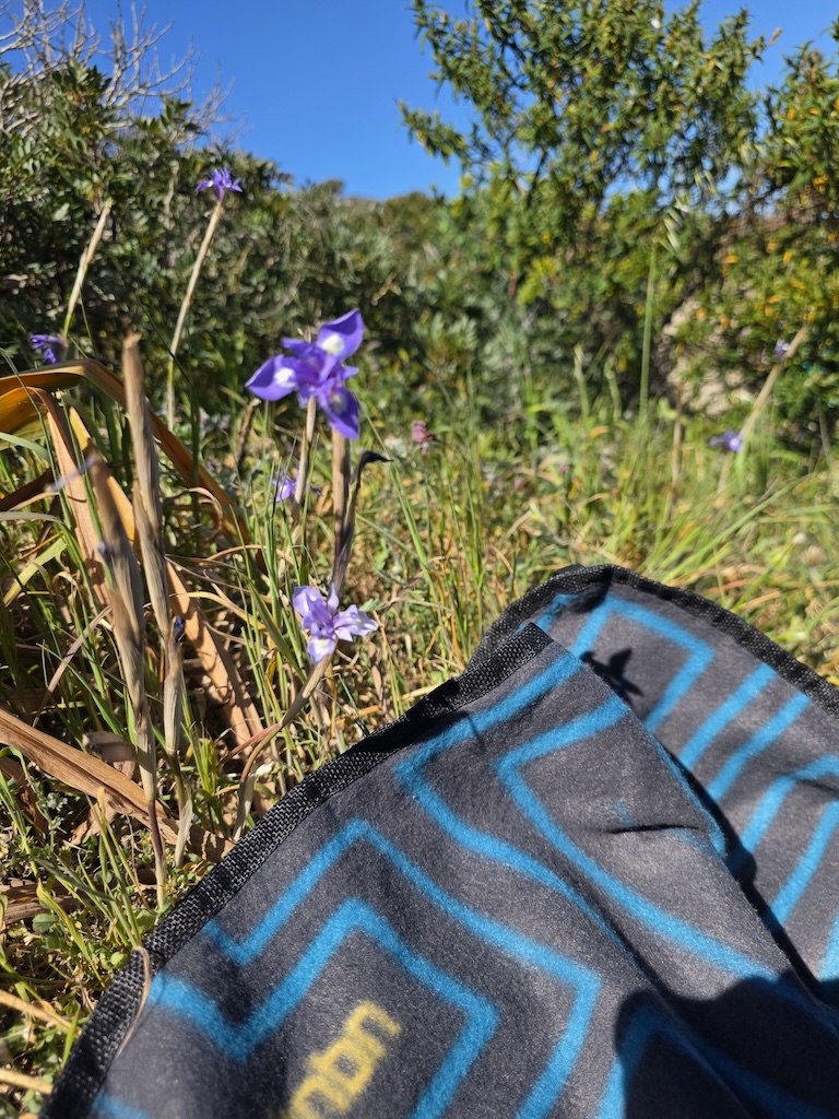 Nahaufnahme SCOTTY Picknickdecke auf feuchter Wiese in den sardischen Bergen