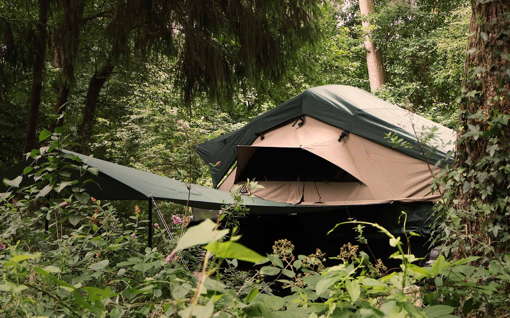 Halvor 160 Dachzelt auf einem Auto auf einem Waldstellplatz